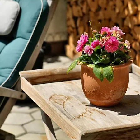 Alpina&more I 4* سيرفاوس